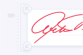 Electronic Signature