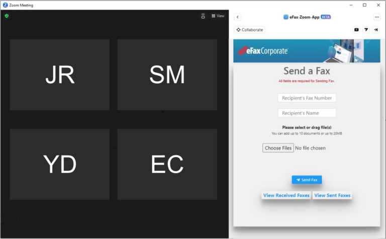 efax-zoom-choose-files